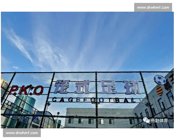 体育中国官网入口全面升级助力体育事业发展畅享全新服务体验